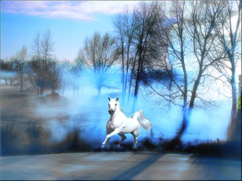 White Horse Running — Blue, Ethereal