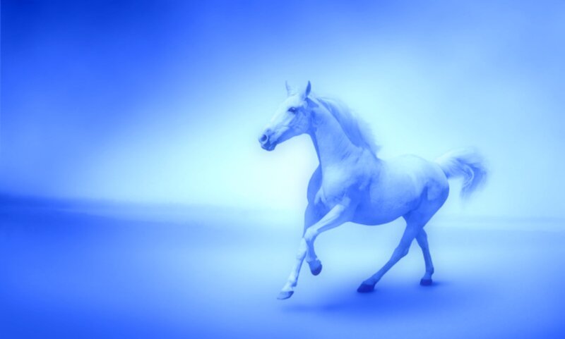 White Horse Running — Blue, Serene, Digital Art