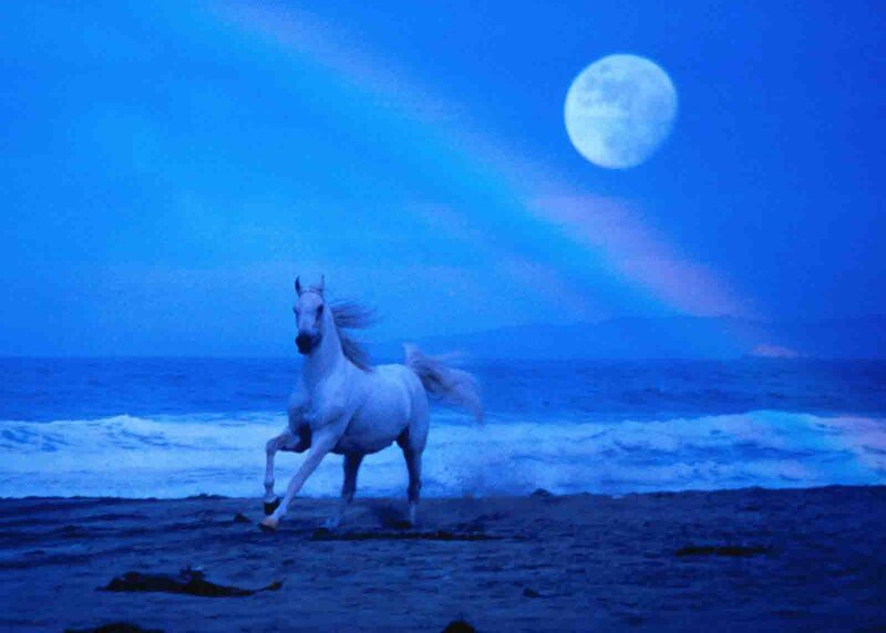 White Horse Running — Blue, Serene, Night, Digital Art
