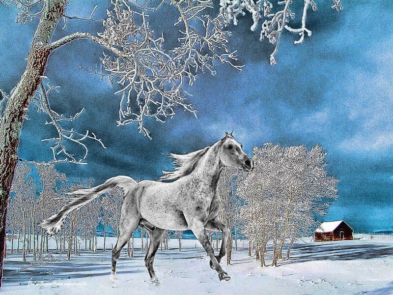 White Horse Running — Blue