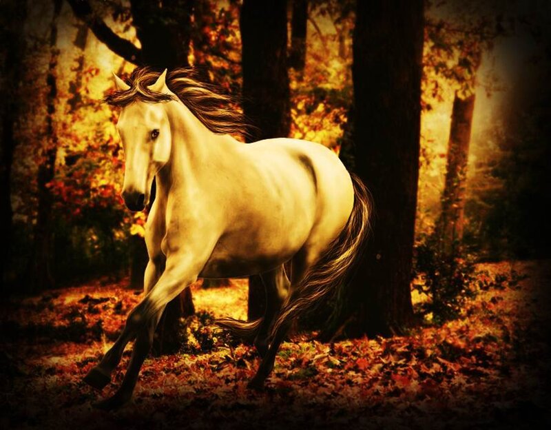 White Horse Running — Brown, Dramatic, Autumn