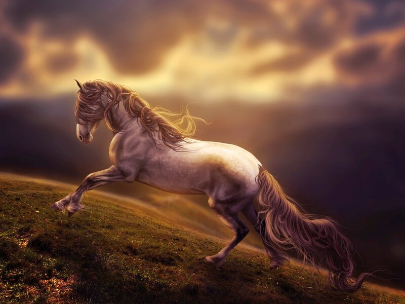White Horse Running — Brown, Dramatic, Sunset, Digital Art, Grass, Sky