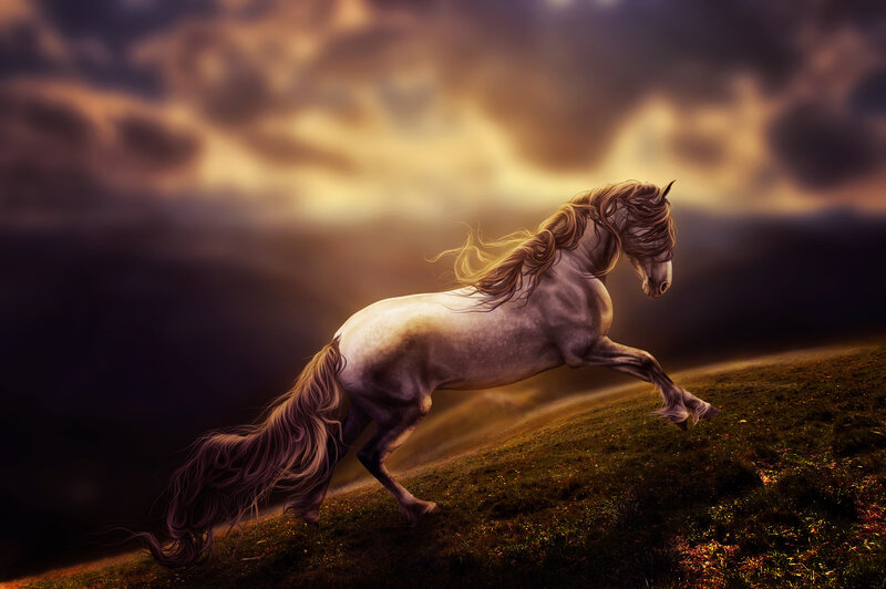 White Horse Running — Brown, Dramatic, Sunset, Digital Art, Grass