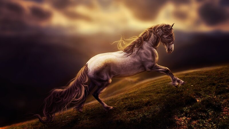 White Horse Running — Brown, Dramatic, Sunset, Digital Art