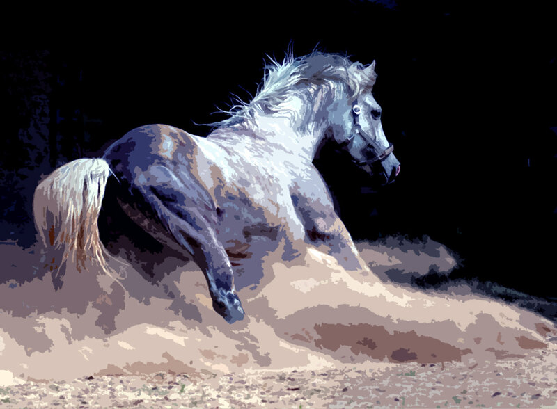 White Horse Running — Dramatic, Digital Art