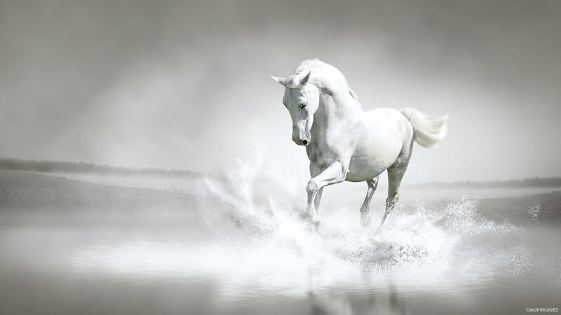 White Horse Running — Dramatic, Digital Art, Water