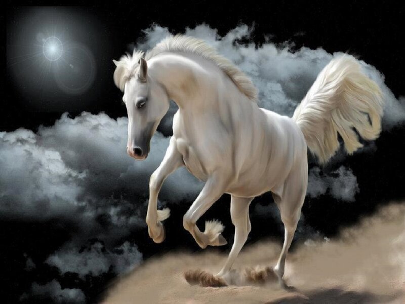 White Horse Running — Dramatic, Night, Digital Art, Clouds, Moon