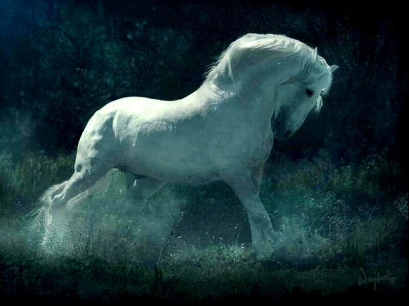 White Horse Running — Dramatic, Night, Digital Art, Grass