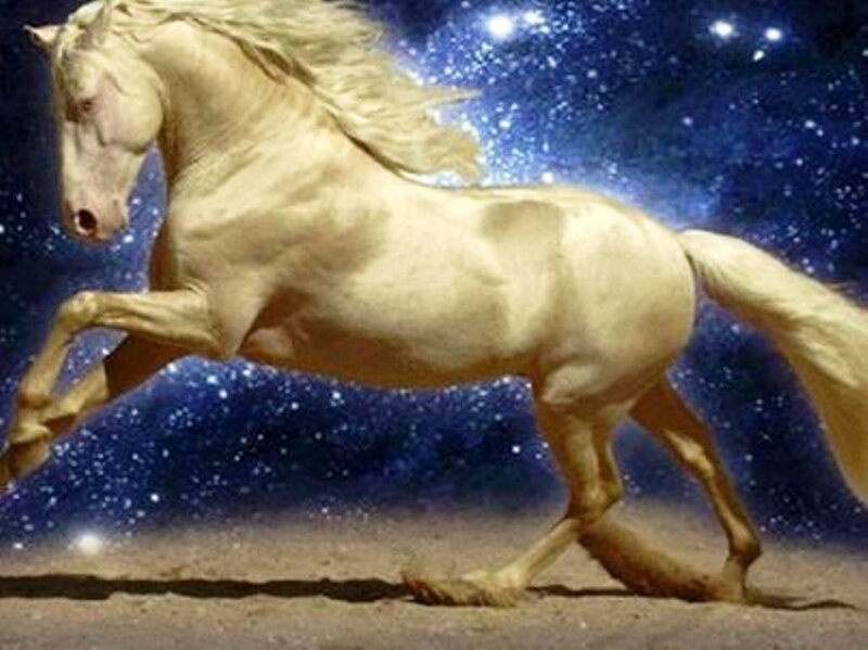 White Horse Running — Dramatic, Night, Digital Art, Stars