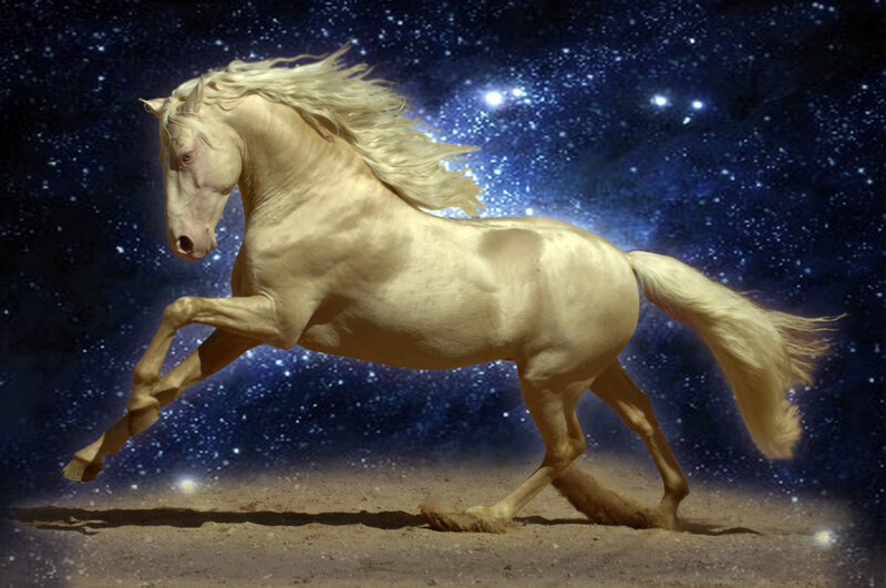 White Horse Running — Dramatic, Night, Digital Art