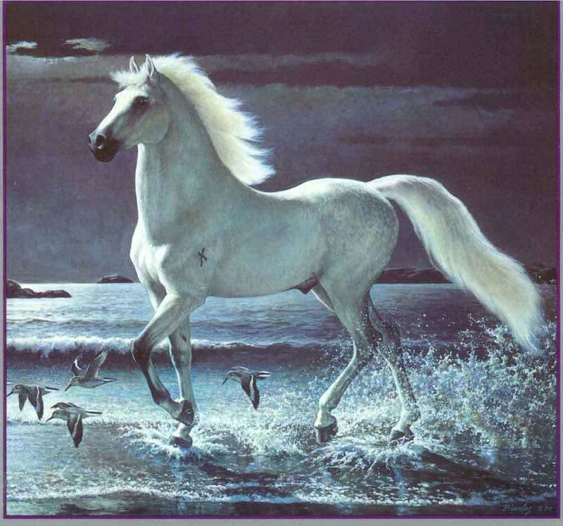 White Horse Running — Dramatic, Night, Painting
