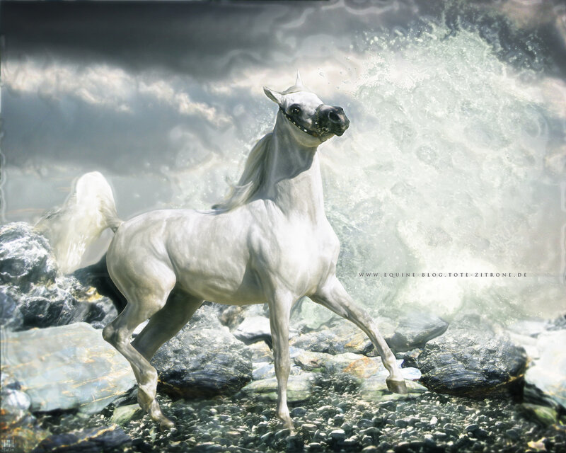 White Horse Running — Dramatic