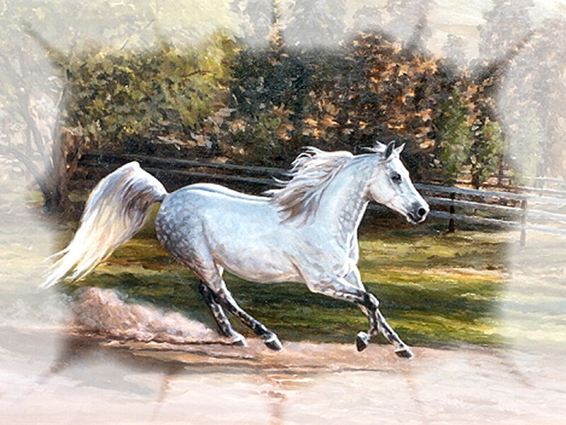 White Horse Running — Dynamic, Afternoon, Painting