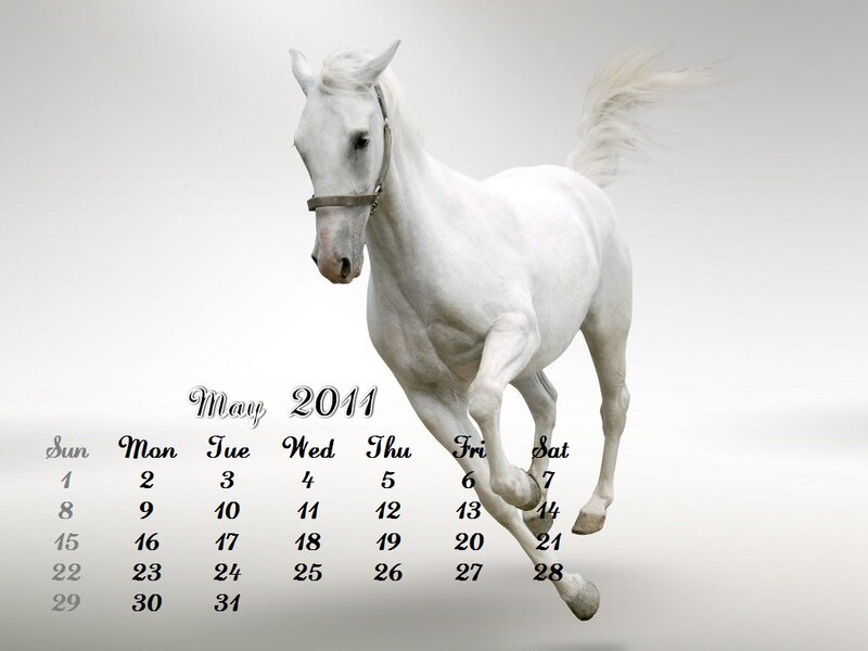 White Horse Running — Dynamic, Photograph, Calendar