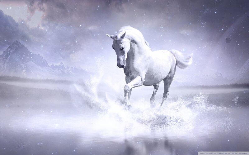 White Horse Running — Ethereal, Night