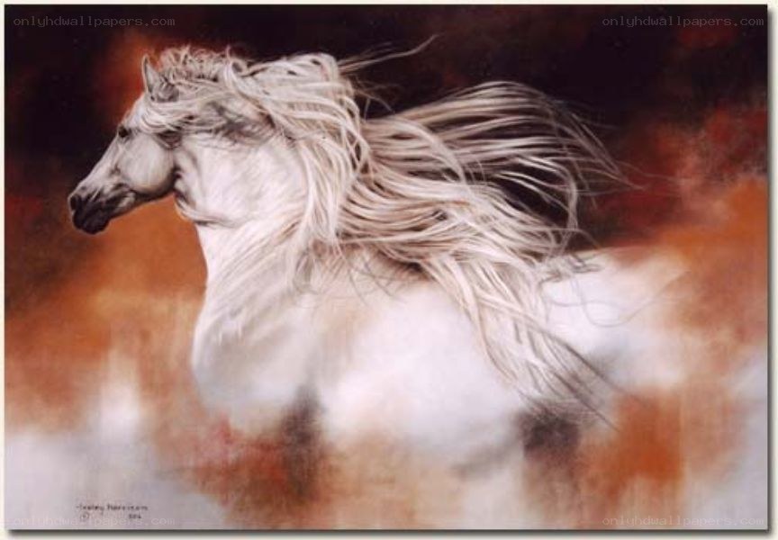white horse running freely