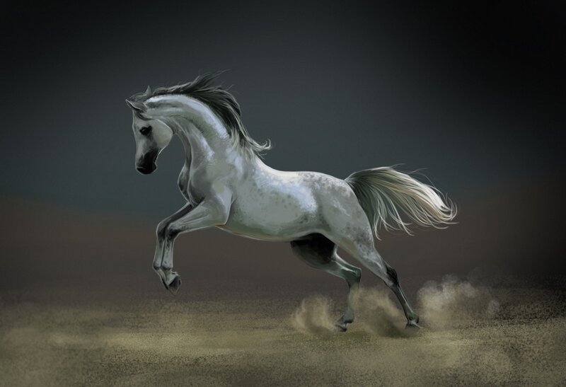 White Horse Running — Gray, Dramatic, Digital Art