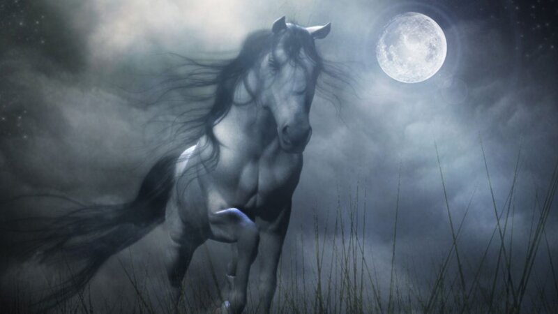 White Horse Running — Gray, Dramatic, Night, Digital Art, Moon
