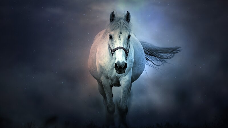White Horse Running — Gray, Dramatic, Night, Digital Art, Night Sky