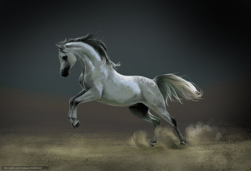 White Horse Running — Gray, Dynamic, Digital Art, Dust, Sand