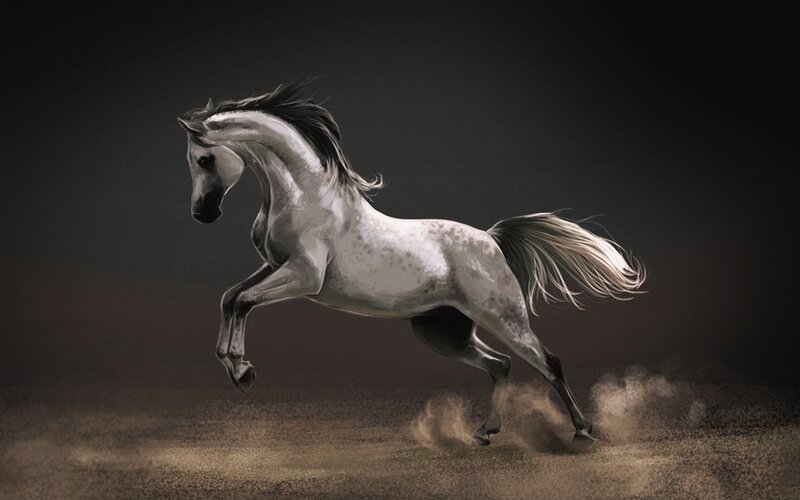 White Horse Running — Gray, Dynamic, Digital Art, Dust