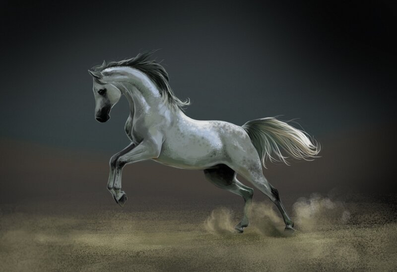 White Horse Running — Gray, Dynamic, Digital Art