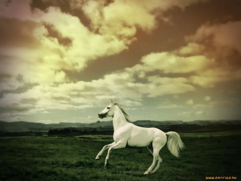 White Horse Running — Green, Dramatic, Afternoon