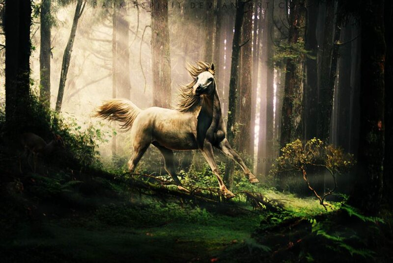 White Horse Running — Green, Dramatic, Morning