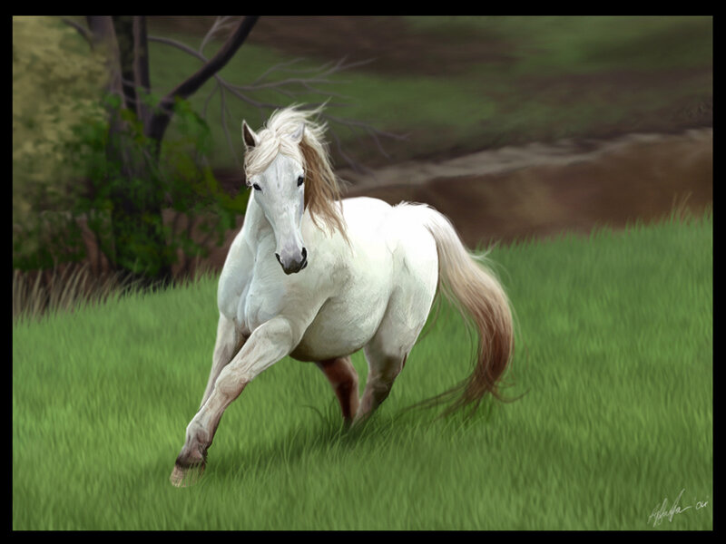 White Horse Running — Green, Dynamic, Afternoon
