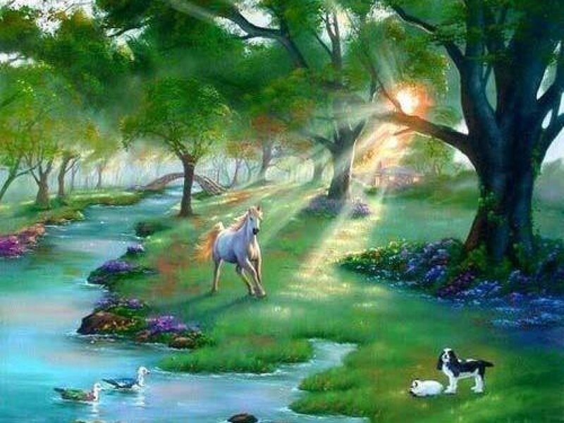 White Horse Running — Green, Serene, Morning
