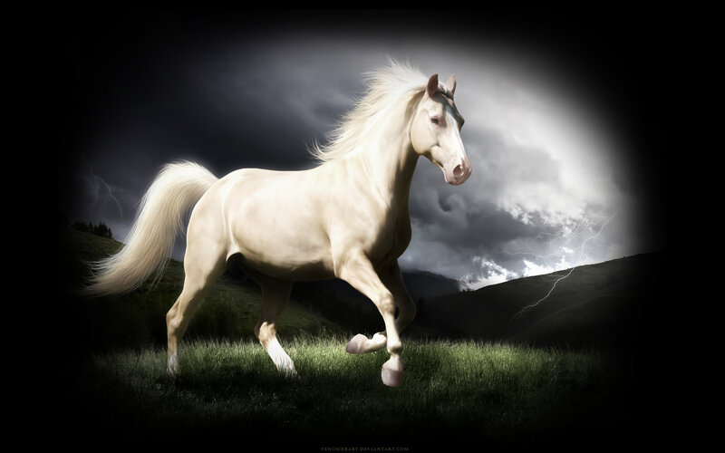 White horse running in storm