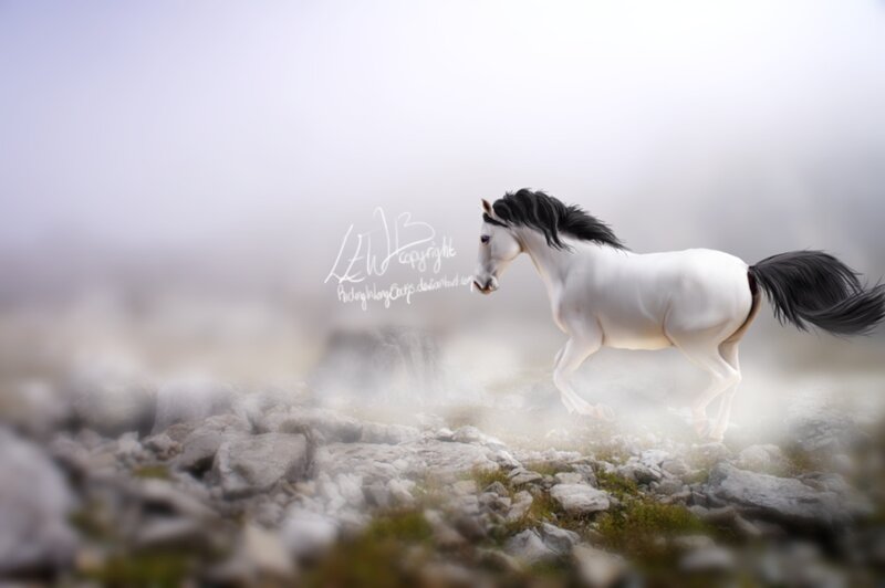 White Horse Running — Misty