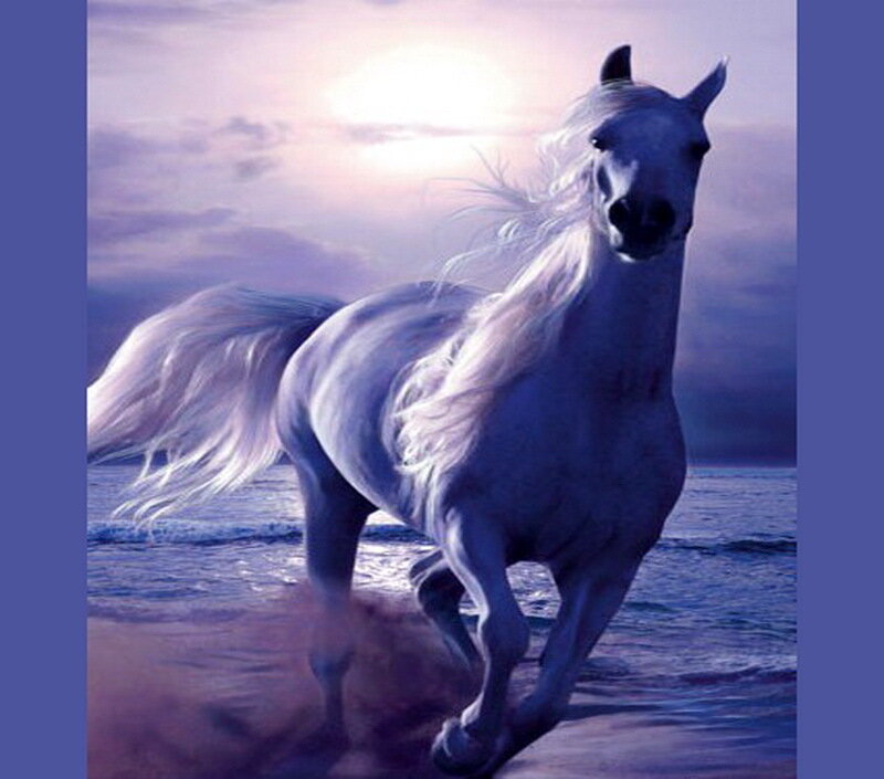 White Horse Running — Purple