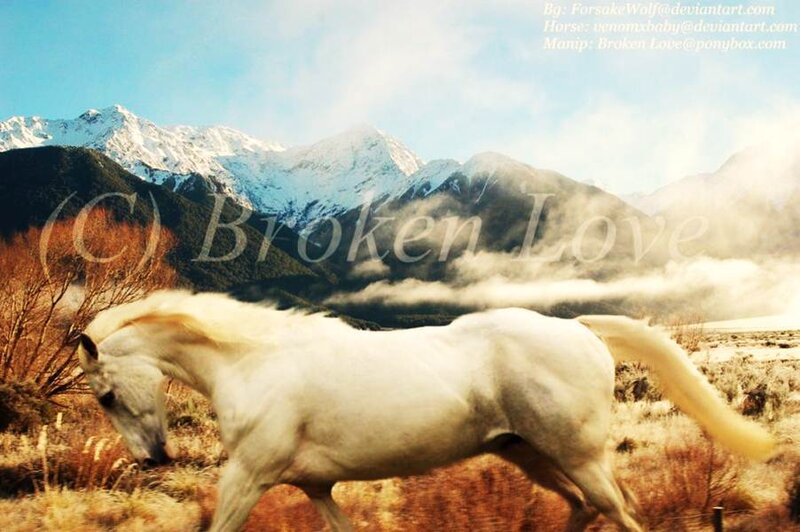 White Horse Running — Serene, Afternoon, Digital Art