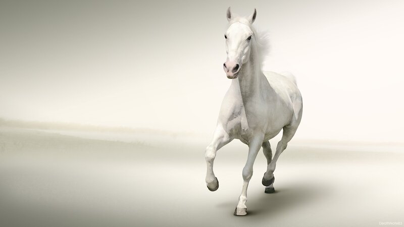 White Horse Running — Serene, Digital Art, Muzzle, Gray