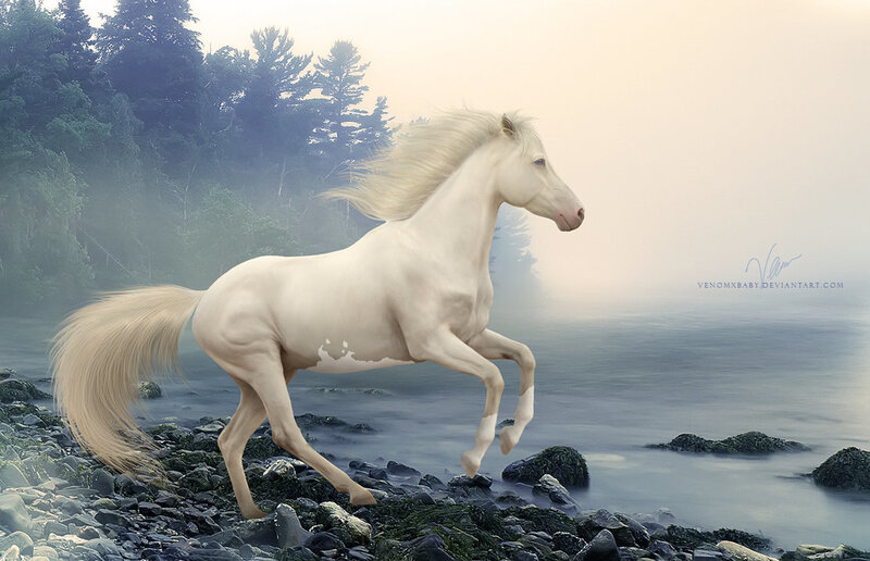 White Horse Running — Serene, Morning