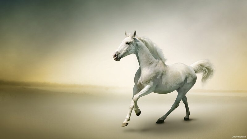 White Horse Running — Serene, Sunset, Digital Art, Field, Sky