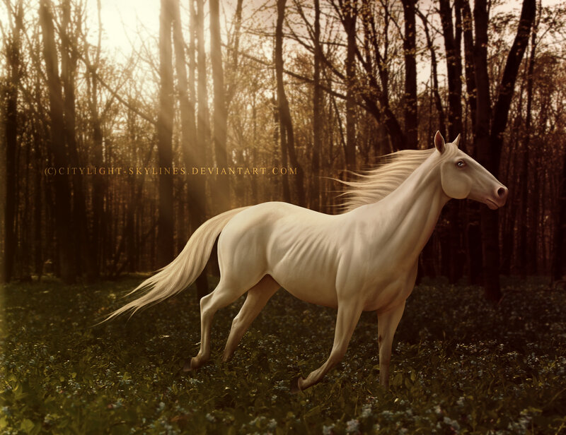 White Horse Running — Serene, Sunset, Digital Art