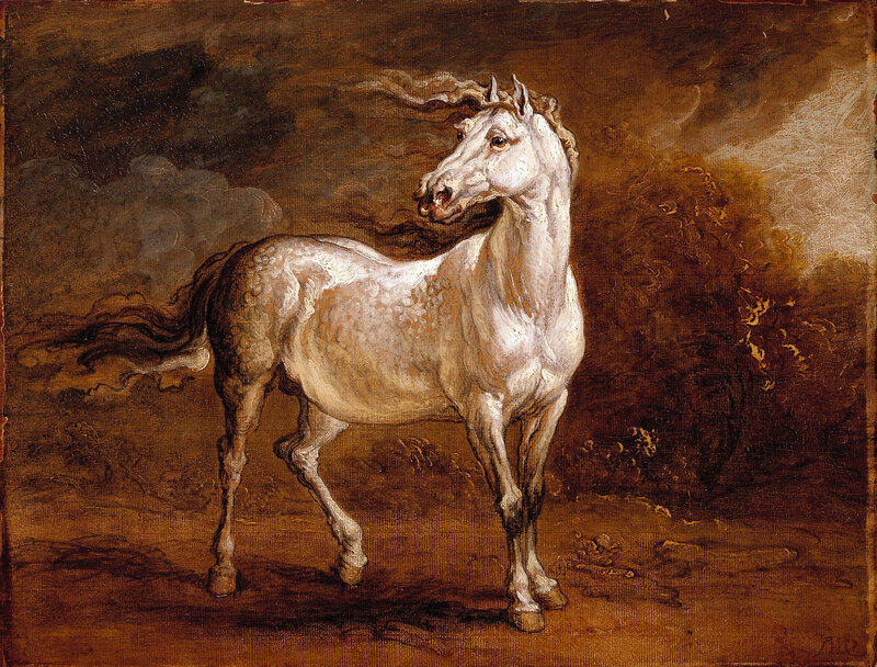 White Horse Standing — Brown