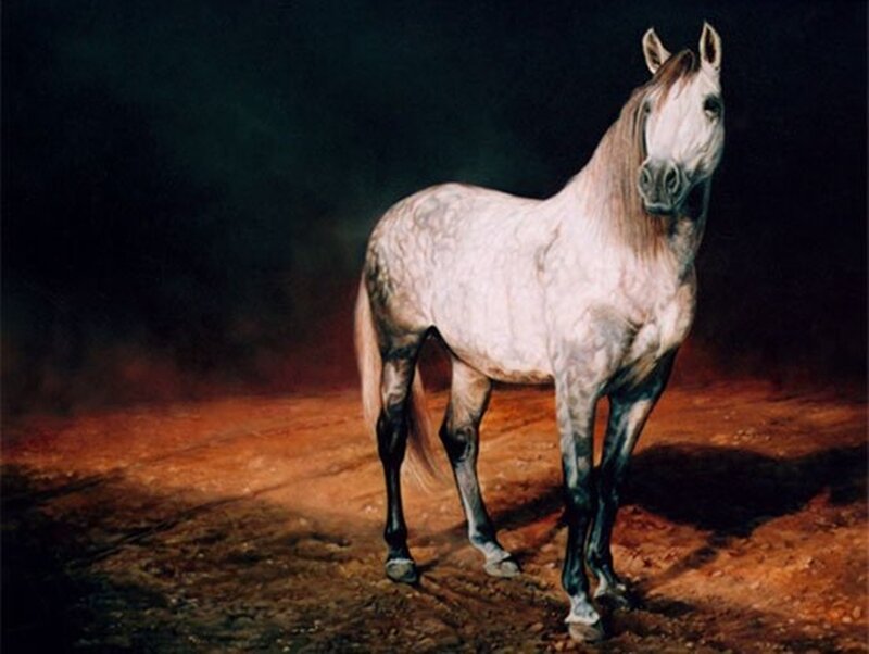 White Horse Standing — Dramatic