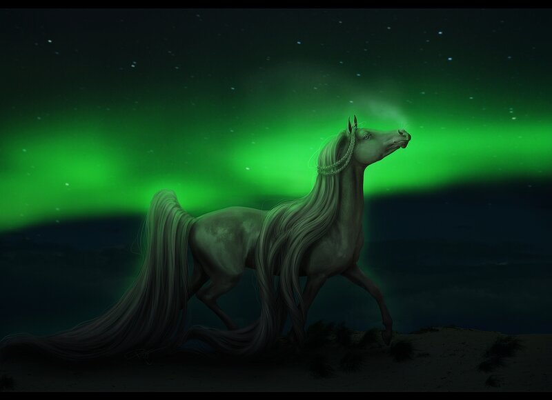 White Horse under Aurora