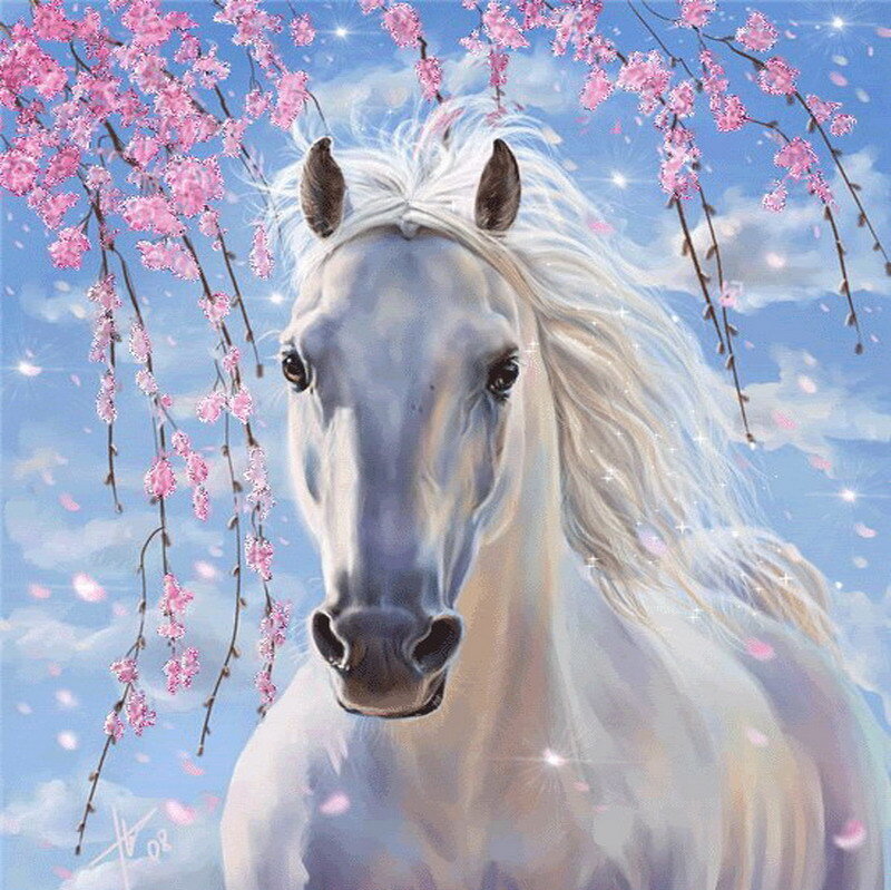 White horse under cherry blossoms