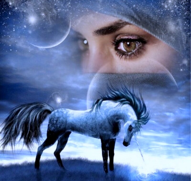 White Horse under Moon