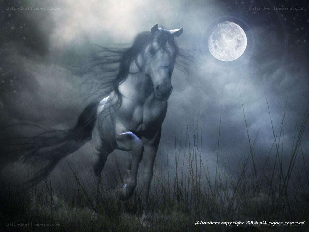 White horse under moonlight