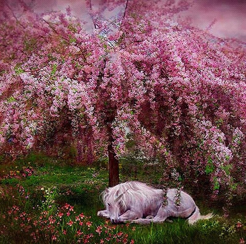 White Horse under Tree
