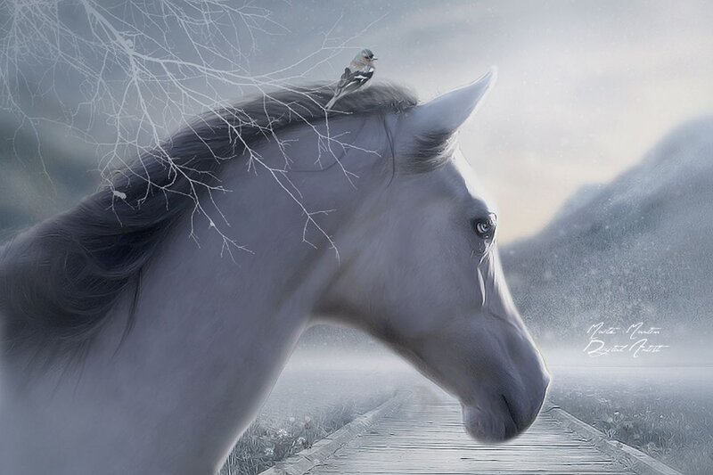 White Horse with Bird — Gray