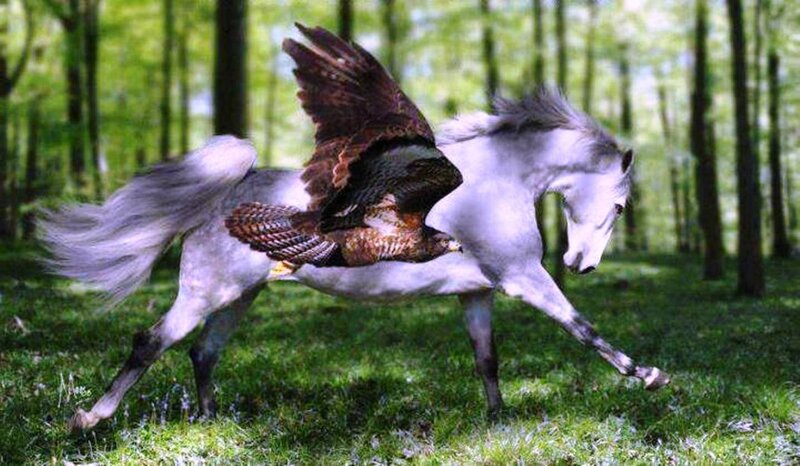 White Horse with Bird — Green
