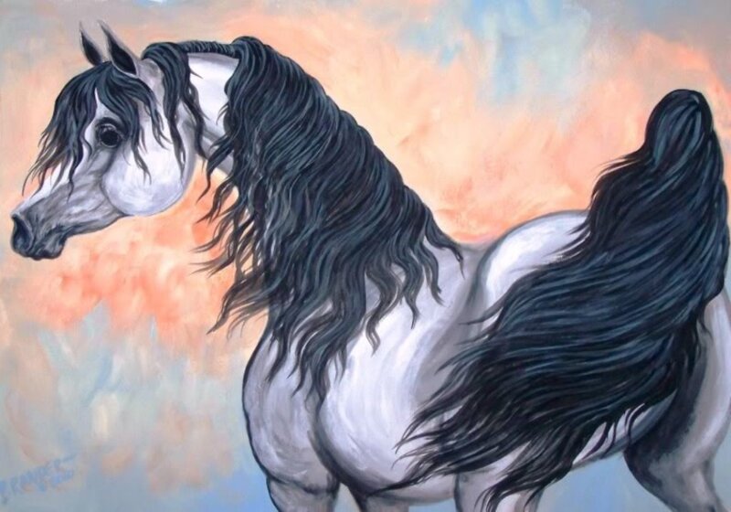 White Horse with Black Mane