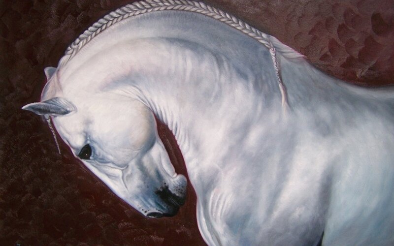 White Horse with Braided Mane — Dramatic