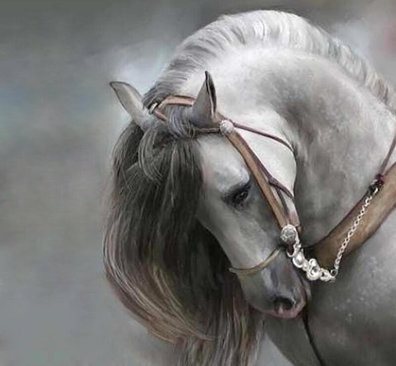 White Horse with Bridle — Gray, Serene